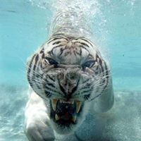 Steven Winn Photo 8