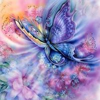 Debra Lindquist Photo 9