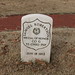 Samuel Robertson Photo 46