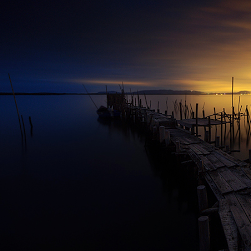 Cory Maxwell Photo 10