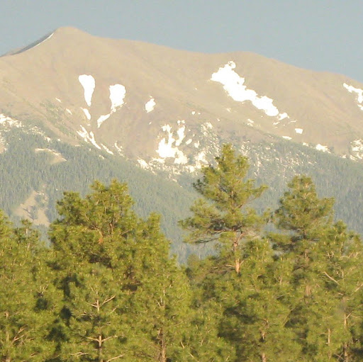 Susan Wilkins Photo 31