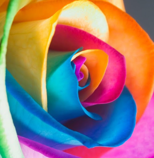 Lillian Watson Photo 31 Lillian Watson Photo 31