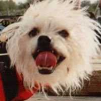 Pat Wagner Photo 22
