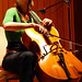 Anne Davidson Photo 21