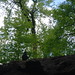 Bobbie Buck Photo 21