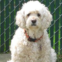 Richard Beyer Photo 13 Richard Beyer Photo 13