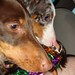 Teresa Carlisle Photo 10