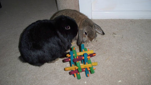 Christie Rodgers Photo 9