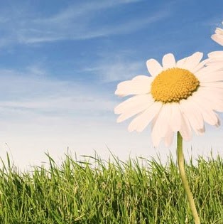 Jessica Crow Photo 6