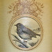 Robin Devine Photo 15