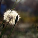 April Whitten Photo 31