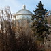 Rose Beyer Photo 7