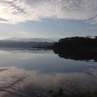 Angela Cronin Photo 8