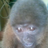 Pele Ramirez Photo 4