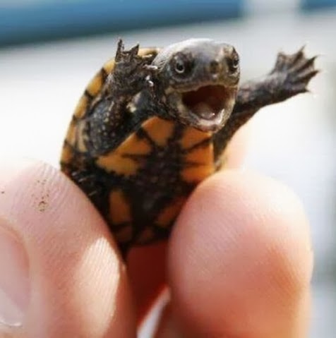 Miles Thompson Photo 28