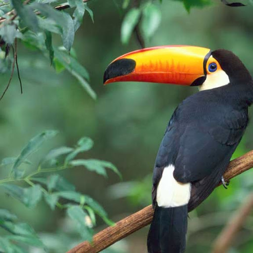 Elizabeth Kidd Photo 15