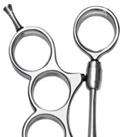 Jose Joaquin Photo 20 Jose Joaquin Photo 20