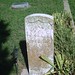 David Maxson Photo 13