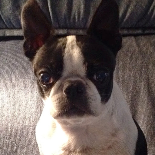 Barbara Snyder Photo 17