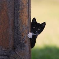 Xiaowen Chen Photo 10