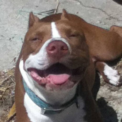 Jesse Summers Photo 8