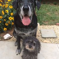 Susan Irvin Photo 13