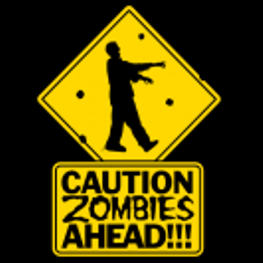 Luis Segovia Photo 12