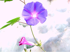 Annette Cornelius Photo 1