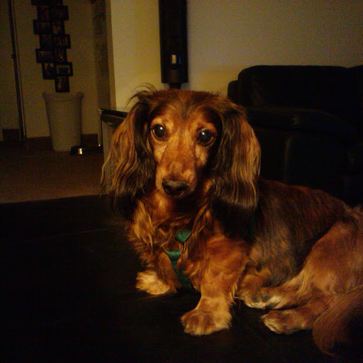 Lindsey Vance Photo 3