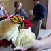 Ann Bode Photo 17