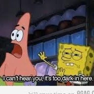 Bridget Carroll Photo 15