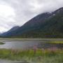 Robin Wolfe Photo 12