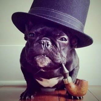 David Nolan Photo 4 David Nolan Photo 4