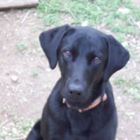 Blue Robinson Photo 21