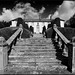 Frederick Sharp Photo 7