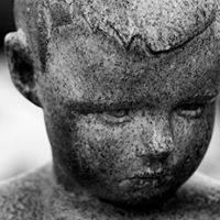 Steven Macleod Photo 10