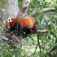 Teresa Walter Photo 21