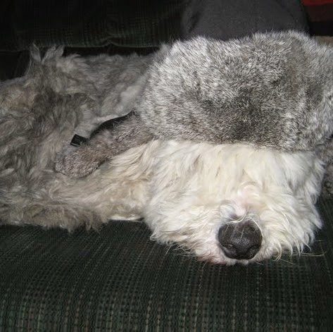 Richard Lay Photo 33