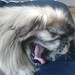 Chang Her Photo 19