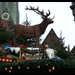 Carol Hirsch Photo 28