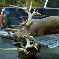 Bradley Gordon Photo 12