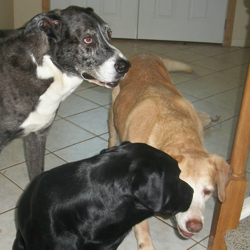 Ellen Cohen Photo 46