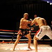 Steve Maciel Photo 6