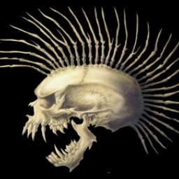 Tim Weber Photo 39 Tim Weber Photo 39