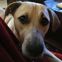 Candice Burris Photo 19