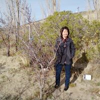 Nancy Corbett Photo 24