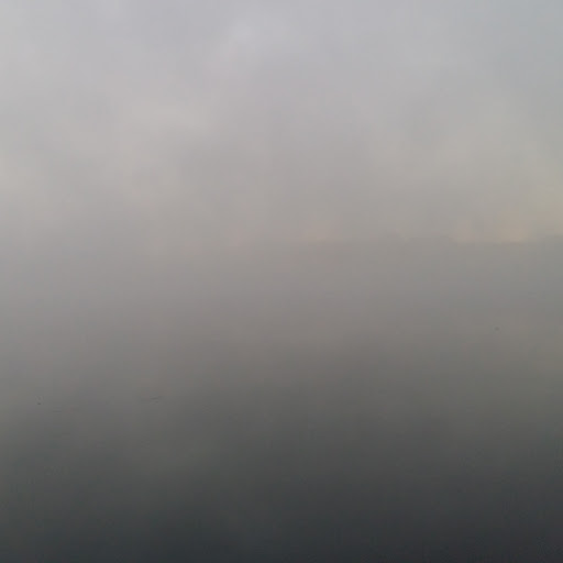 Shaun Gallagher Photo 10 Shaun Gallagher Photo 10