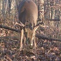 Ricky Short Photo 11