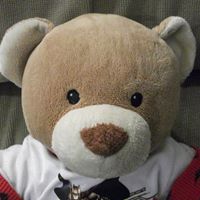 Henry Harvey Photo 24