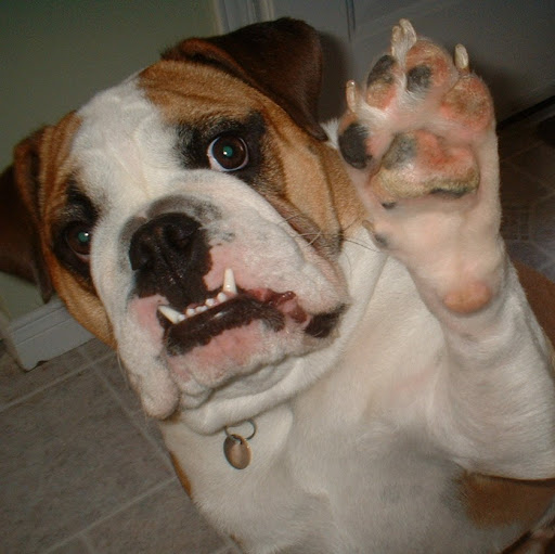 Eric Summers Photo 38